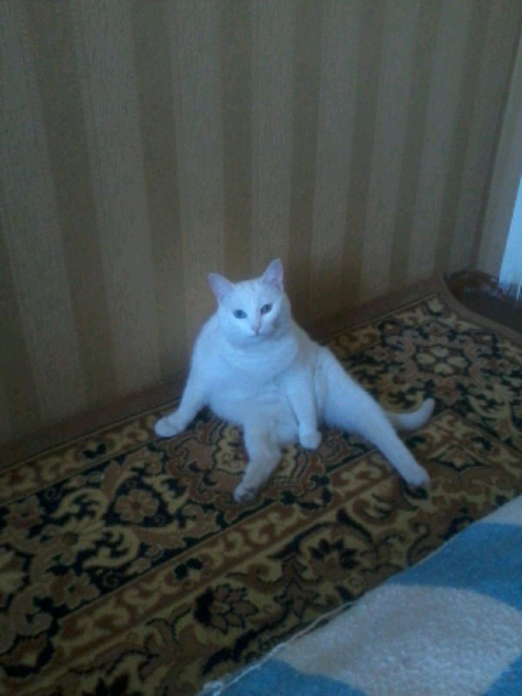 доброе утречко