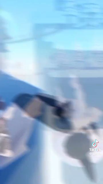 979.mp4
