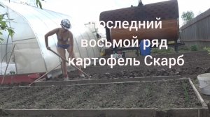 6 соток 15 мая 2026 г Одуванчикам бой. Посадила картошку. Высадила Виолу. Косила участок за забором