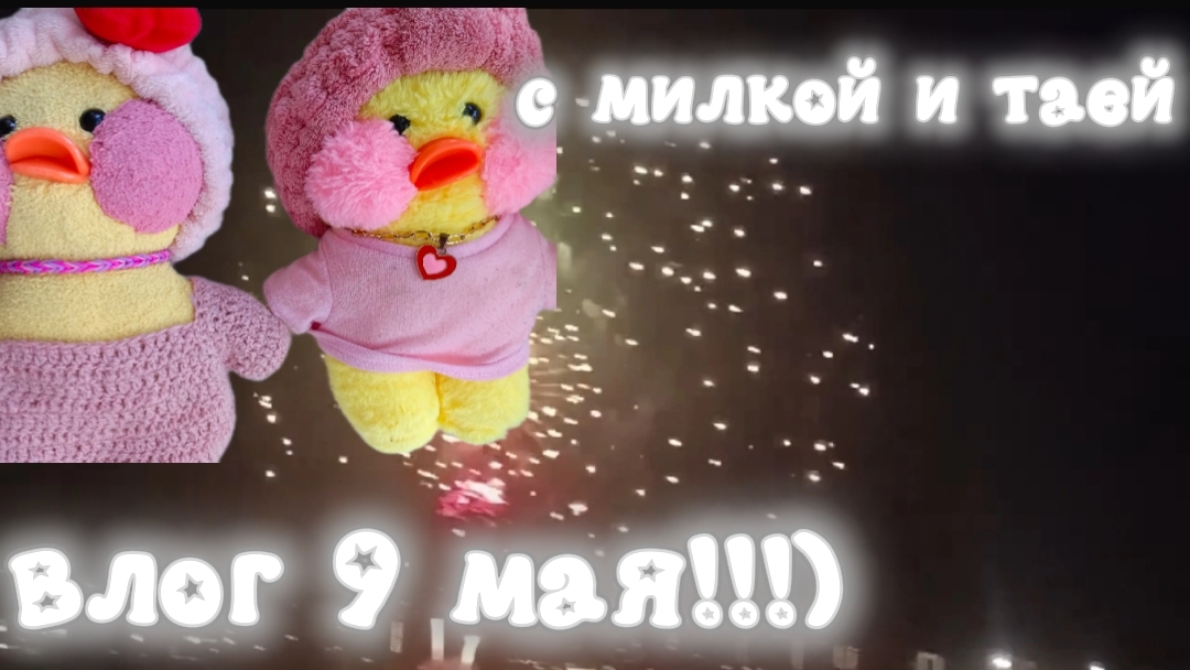 ВЛОГ 9 МАЯ,НАШ ДЕНЬ С УТОЧКАМИ🪩🎀