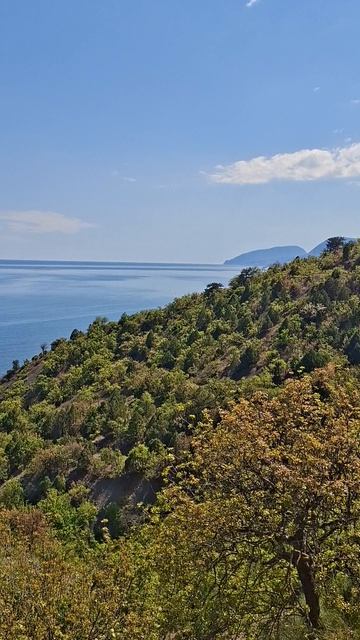 Участки в Алуште | Семидворье смотреть онлайн