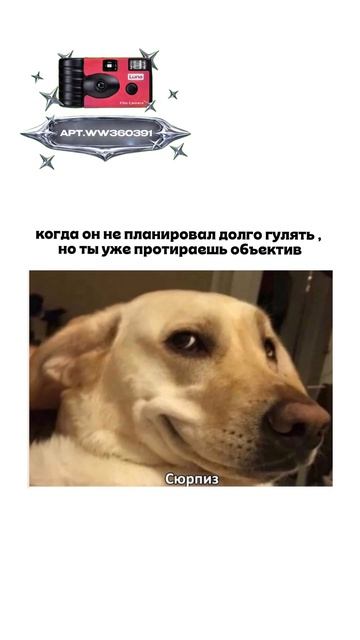 Плёночный фотоаппарат на 36 кадров (Артикул WB: #WW360391)💕