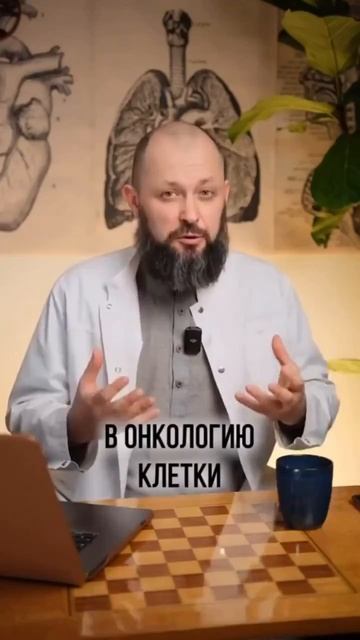 ПОЛЕЗНЫЕ СОВЕТЫ. смотреть онлайн