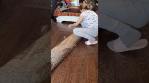 Безумный Паша мастер на все руки