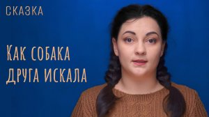 Сказка «Как собака друга искала»