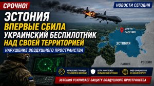 Эстония впервые сбила украинский беспилотник над своей территорией