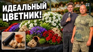 Цветник своими руками из однолетников 🌸 Геотекстиль, камни, посадка