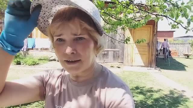 Вспахали и посадили. Жизнь в Деревне на пенсии.