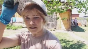 Закончилась лафа. Жизнь в Деревне на пенсии.