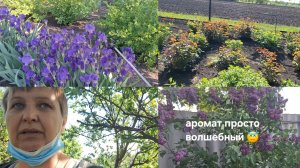 19-05-2026 Хроника моего утра!