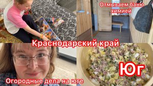 Купили дом. Отмываем баню. Только химия! Мята для чая. Жизнь на юге