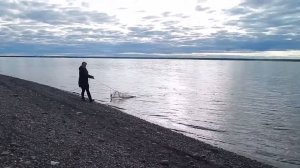 Рыбалка Неводом. Есть Бонус.