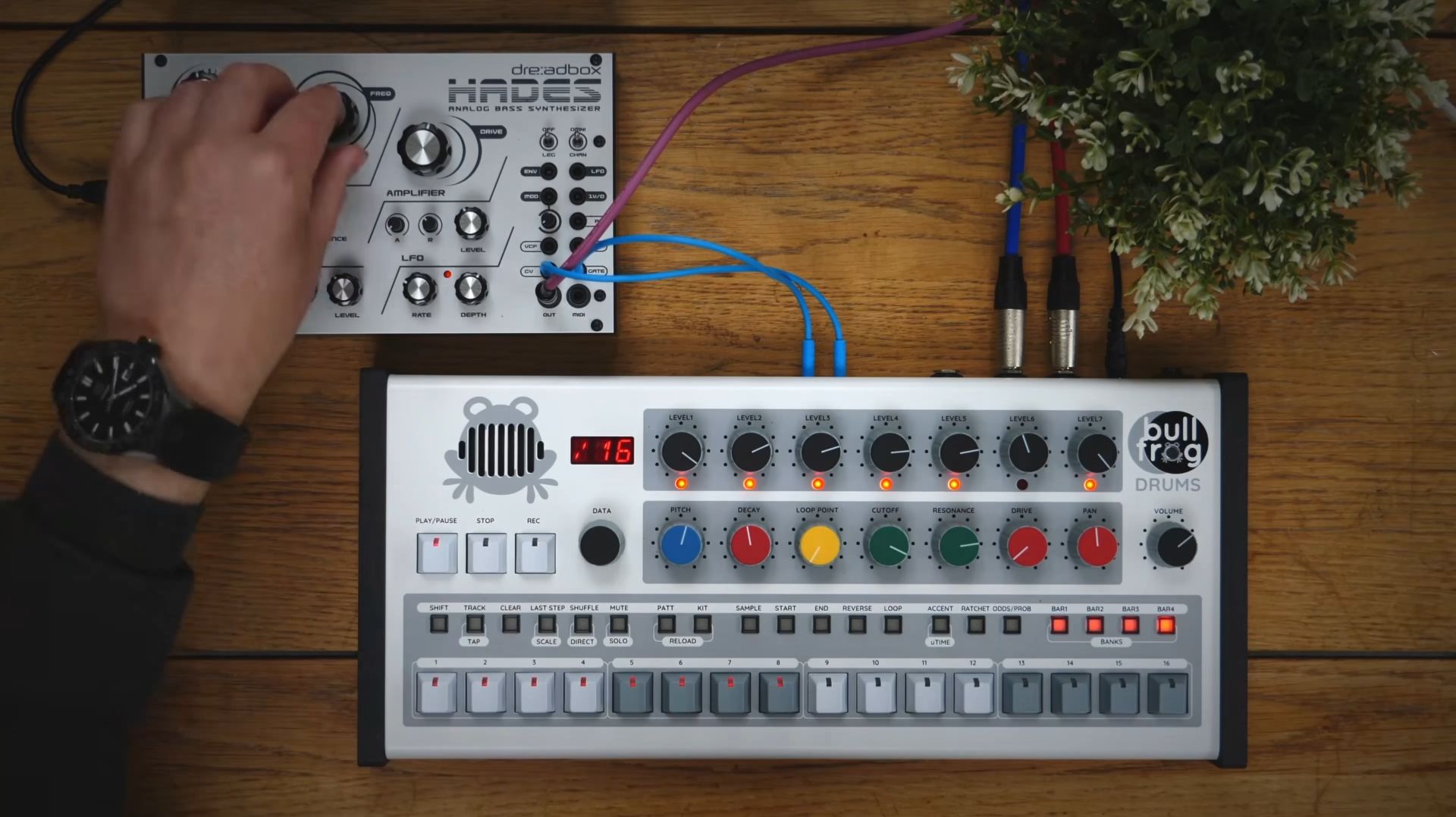Erica Synths X Richie Hawtin Bullfrog Drums Review