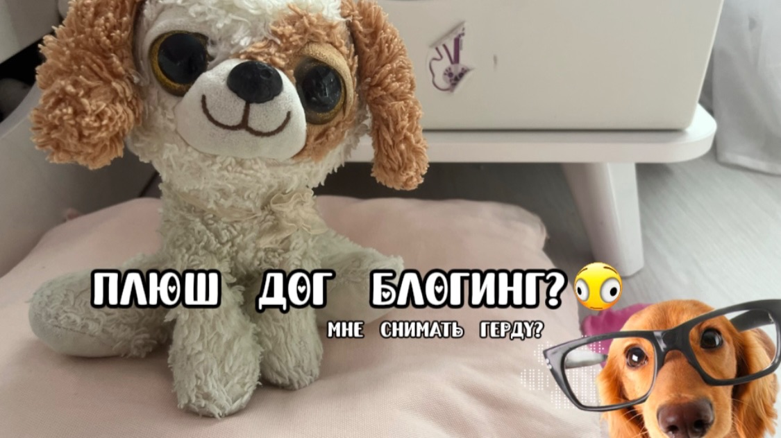Плюш дог блогинг? Мне снимать Герду?