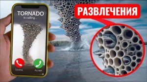 АКУЛА ТОРНАДО ЗОВЕТ. РАЗВЛЕЧЕНИЯ И ЧЕЛЛЕНДЖИ.