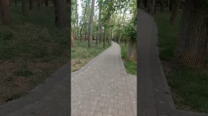 Россия 🇷🇺 Феодосия !!! Весна ☀️🌱🌳 🌲🌿💐🌊🚢 Год 2026