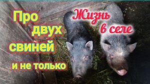 Даём ответ МОШЕННИЦАМ/Алтайцы на ЮГЕ/Жизнь в СЕЛЕ на ЮГЕ/ОБЗОР посёлков Октябрьский и Советский