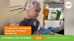 «Мы уезжаем спасать дочь в чужую страну. Больше времени РАК не оставил! Умоляем вас о помощи!»
