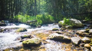 Золотой перекат! Скопление Золота в реке!