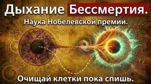 02. 99% людей дышат неправильно и стареют быстрее | За Гранью Кода