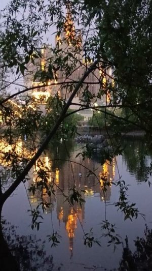 Птицы, один день в Москве, услуги, предложение от специалистов, смотрите описание видео,