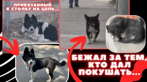 Если он исчезнет - никто не заметит...