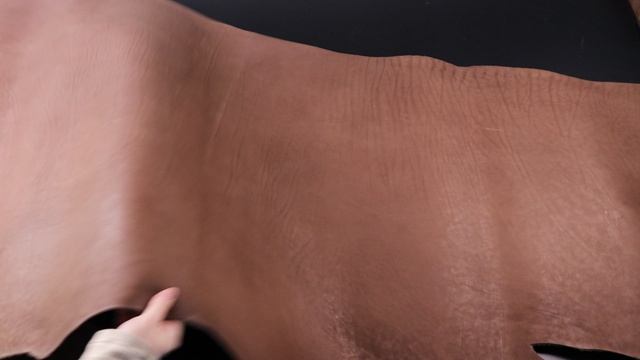 1,8-2,2 Юфть Темно-коричневая 171дм² (КЛ)