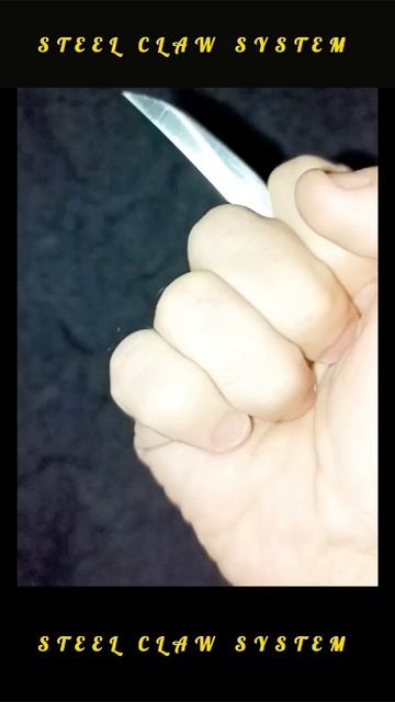 Steel Claw(Стальной Коготь)