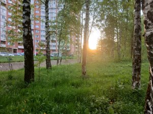 занимаюсь делами﹥﹥