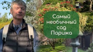 Сад Альбера Кана: место, где встретились культуры мира