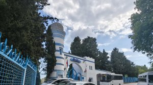 Что в Дюльбере?🏰🌴