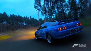 Высокие кедры Китаяма находятся тут в Forza Horizon 6