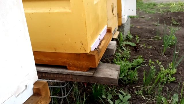 Последнее расширение.Пояснение к проделанной работе.Чась2.