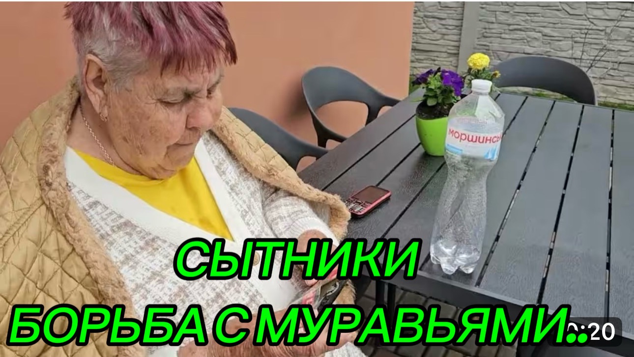 САМВЕЛ АДАМЯН, СЫТНИКИ, БОРЬБА С МУРАВЬЯМИ..