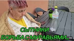 САМВЕЛ АДАМЯН, СЫТНИКИ, БОРЬБА С МУРАВЬЯМИ..