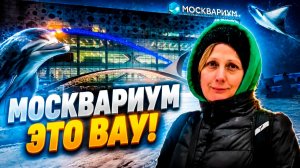 Москвариум на ВДНХ! ♥ Как выглядит подводный мир в самом центре Москвы