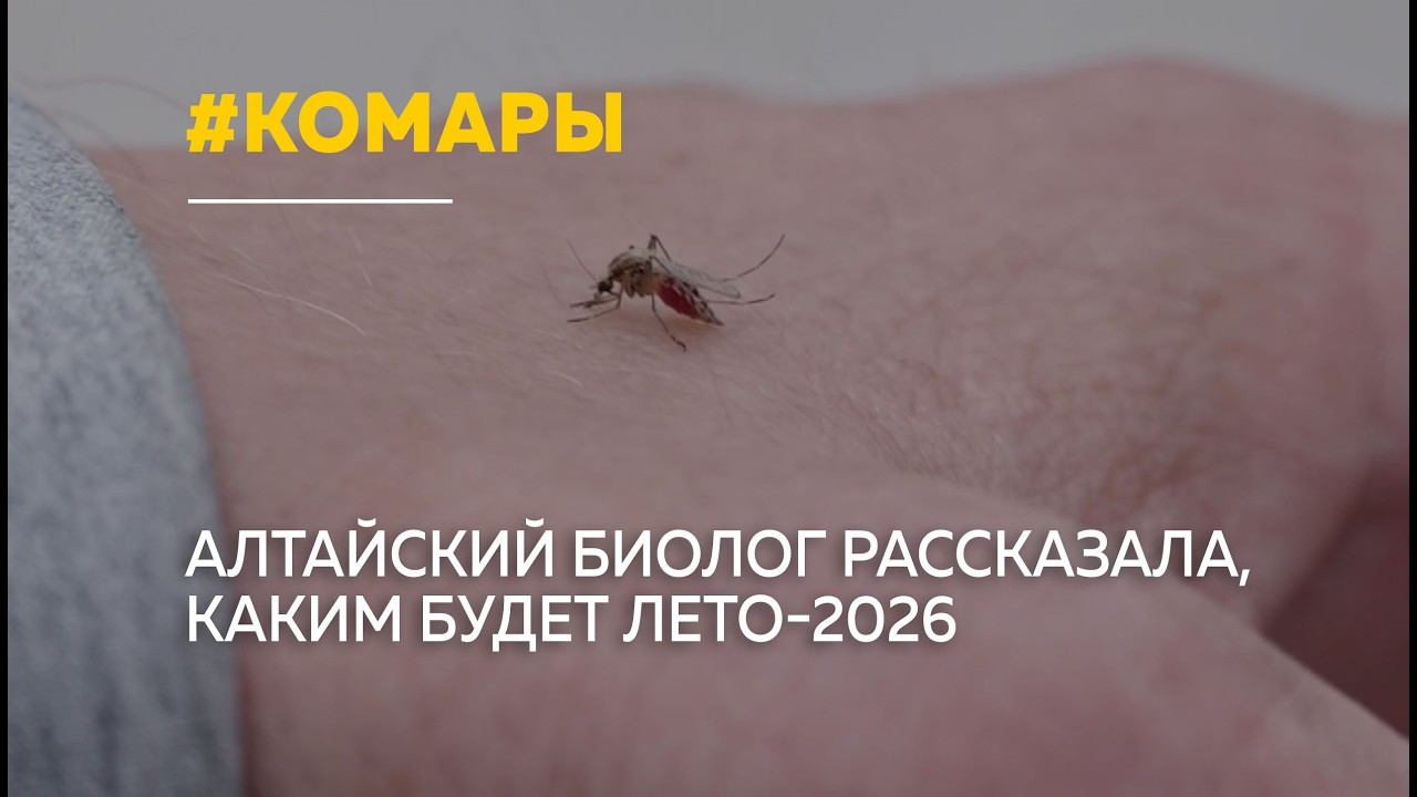 Алтайский биолог объяснила, почему летом будет меньше комаров