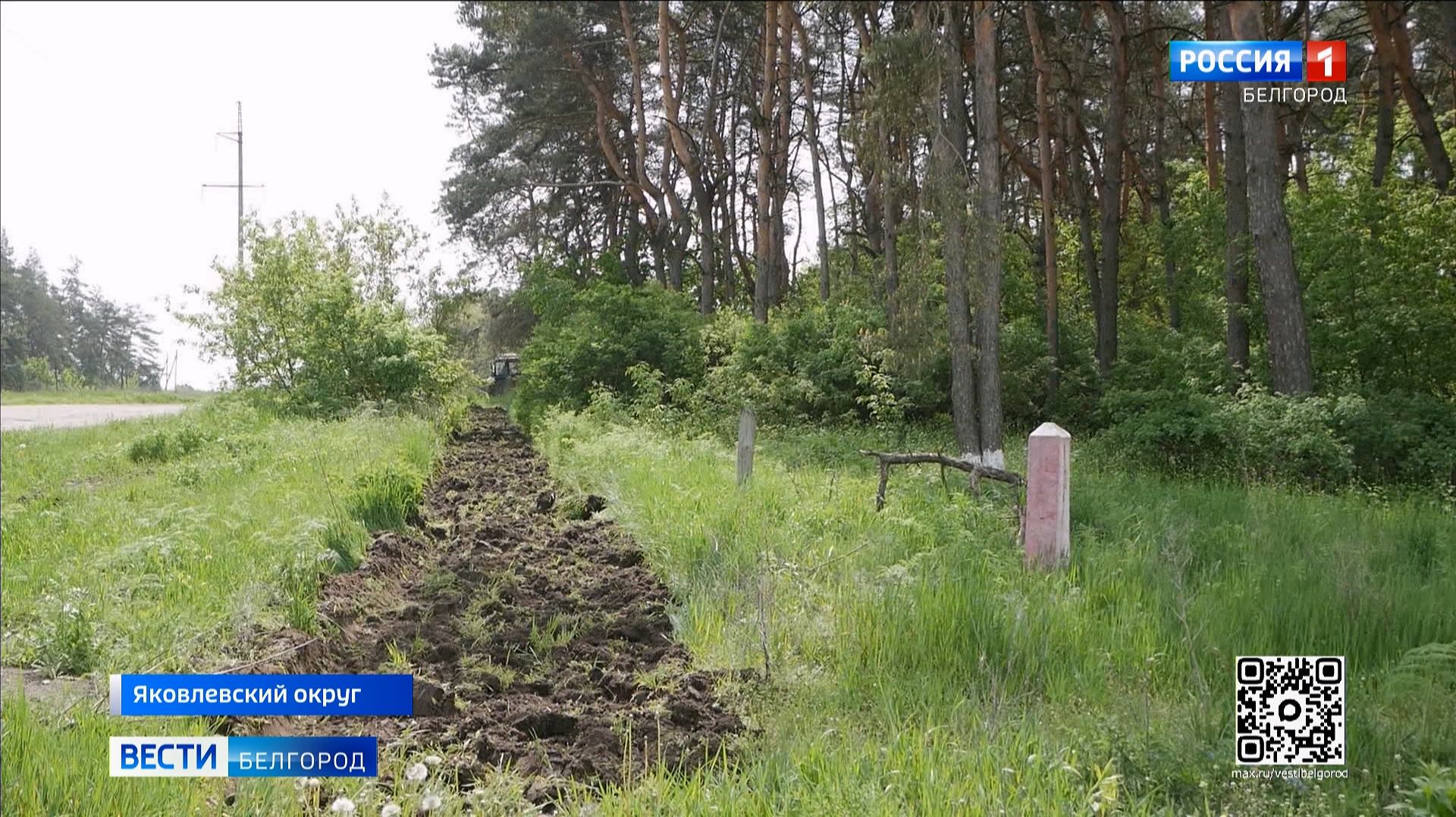 В лесах Белгородской области создают минерализованные противопожарные полосы