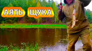 Середина мая. Река Аять. Рыбалка на спинннинг, встреча с щукой.