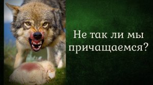 Не так ли мы причащаемся?