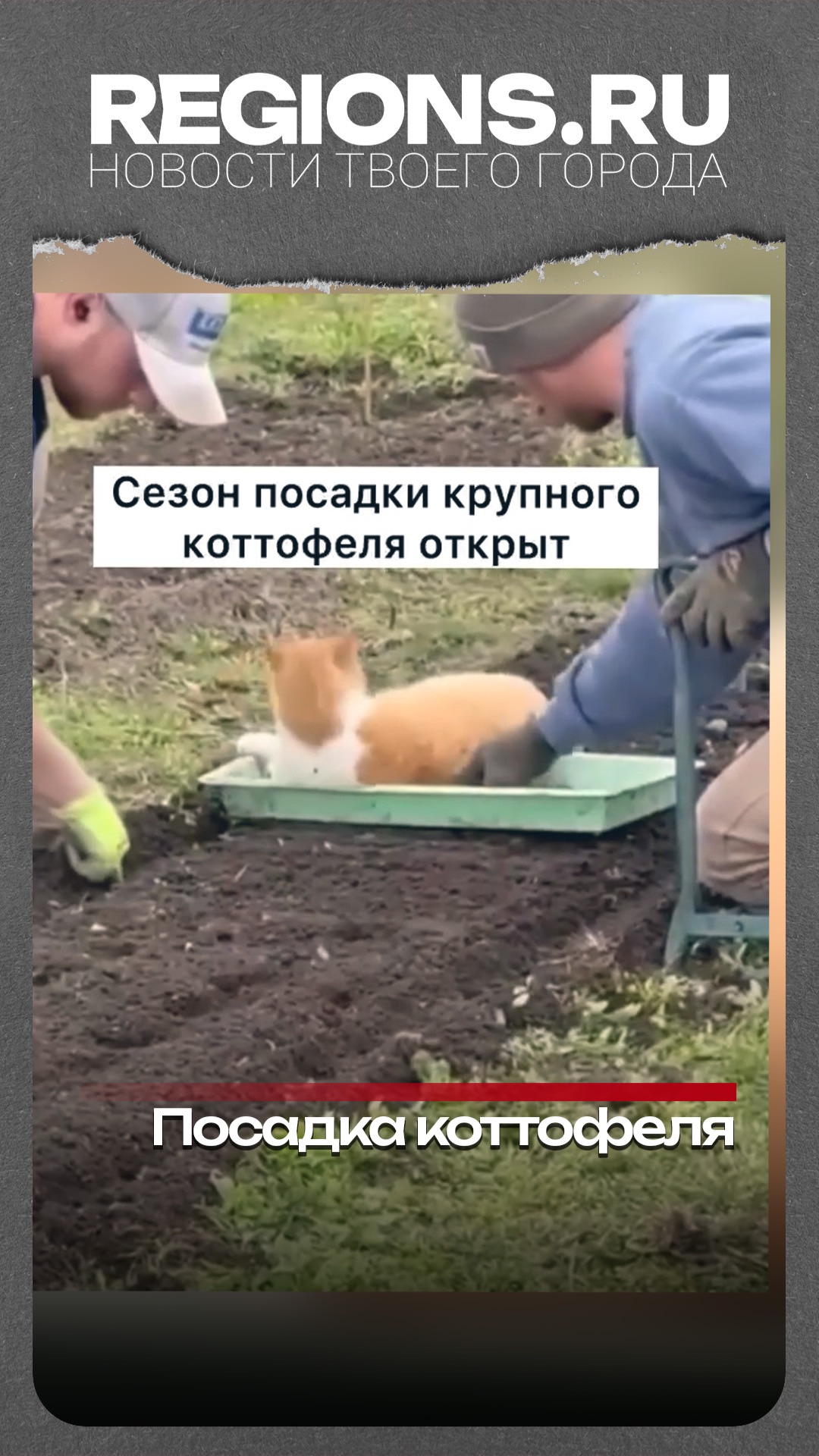 Волшебный закат