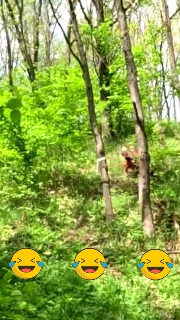 В день два раза вот это упражнение делай, позвоночник не будет болеть