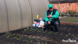 КЛУБНИКЕ В МАЕ ОБЯЗАТЕЛЬНО дайте эту подкормку, и она засыплет вас сладкими и крупными ягодами