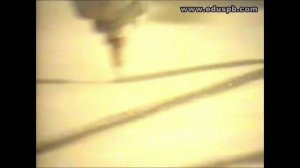 Свободные колебания (Маятник с песком)