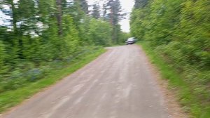 лес 3 Бийск