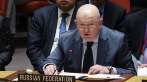 Тупик, провокации и коррупция: главные заявления постпреда России на Совбезе по Украине