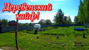 Простая жизнь в деревне. Влог. Продукты из деревенского магазина. Сад-огород в мае.