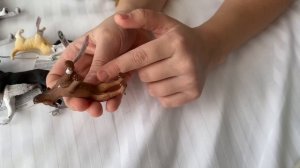 Алиса показывает свою коллекцию собачек Шляйх и Collecta / коллекционные пластиковые собаки