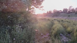 Закат.