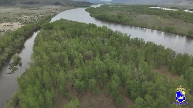 Полиция с помощью дрона нашла на острове посреди реки Енисей похищенную двумя жителями Тувы лошадь